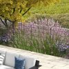 Outsunny 4-Pack Grid Design Metal Garden Fencing: Decorative Animal Barrier & Plant Border|
