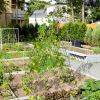 2 Pieces Foldable A-Frame Trellis Plant Supports with Twist Ties