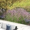 Outsunny 4-Panel Decorative Fencing: Swirls Design, Metal Yard Barrier for Pets & Flower Bed Edge|